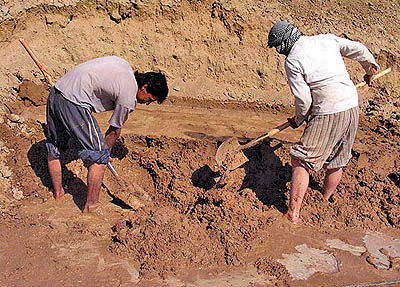 بررسی دستمزد کارگران از سوی کمیته صیانت از حقوق کار