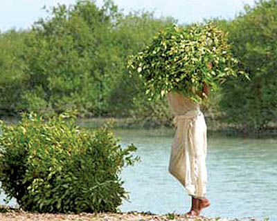 گزارش نمایشگاه مرتضی پورصمدی با عنوان «به یاد محسن‌رسول‌اف»