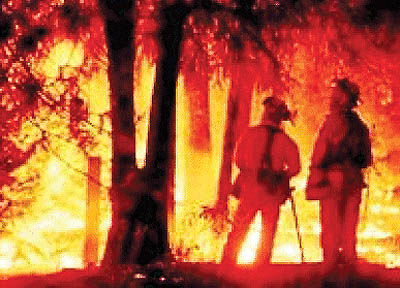 چهار دونده استرالیایی در آتش سوختند