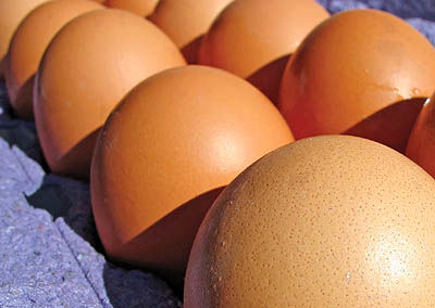 دستور ویژه غضنفری برای ذخیره‌سازی تخم‌مرغ