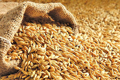 محصولات ذرت، جو و برنج برای عرضه در بورس کالای ایران تعیین شدند