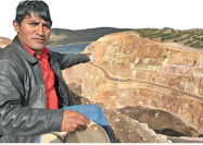نسخه  نافرجام معدنی  در  پرو