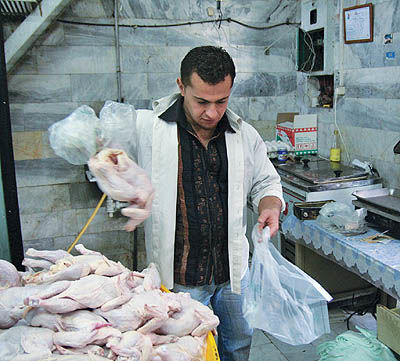 برنامه ویژه دولت برای بازار گوشت و مرغ