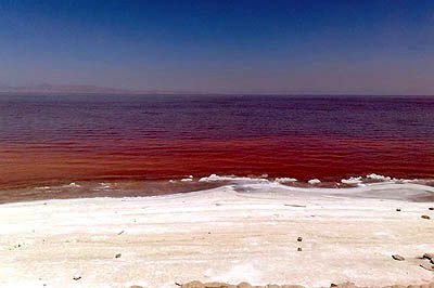 دریاچه ارومیه سرخ شد؟