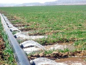 اجرای فاز اول تحویل حجمی آب  به کشاورزان