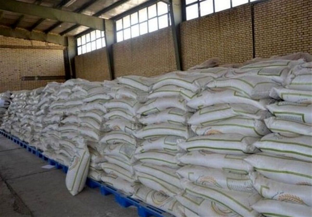 کاهش چشمگیر قیمت برنج در استان‌های شمالی کشور