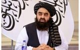 موضع گیری طالبان درباره درگیری‌ با پاکستان/ امیرخان متقی: به دنبال تنش نیستیم