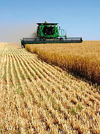 بهبود بازار محصولات کشاورزی
