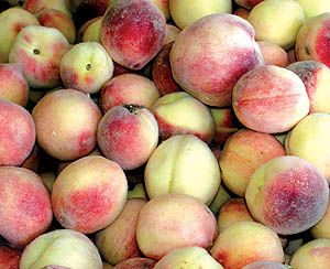 اسامی 5 واردکننده اصلی میوه کشور اعلام شد