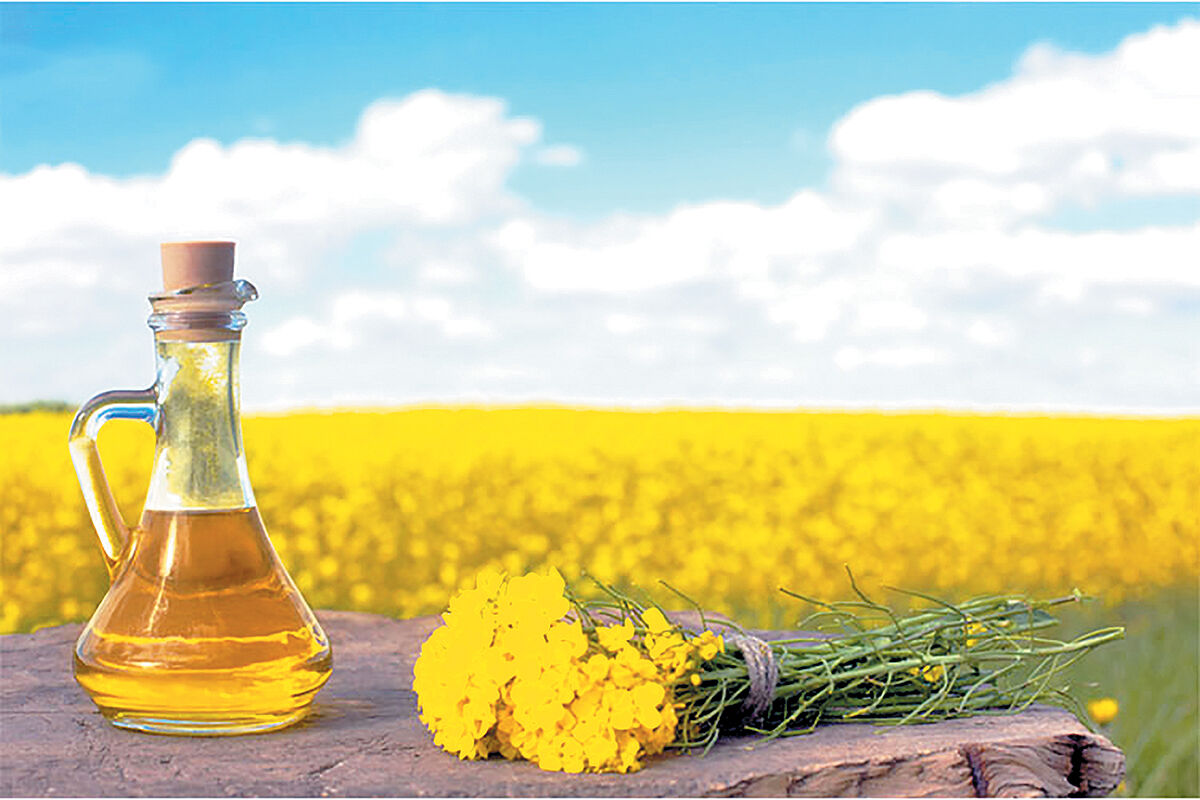روغن خام؛ سوژه جدید برای بر هم زدن بازار