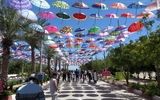 رونق دوباره کیش با مشارکت بخش خصوصی