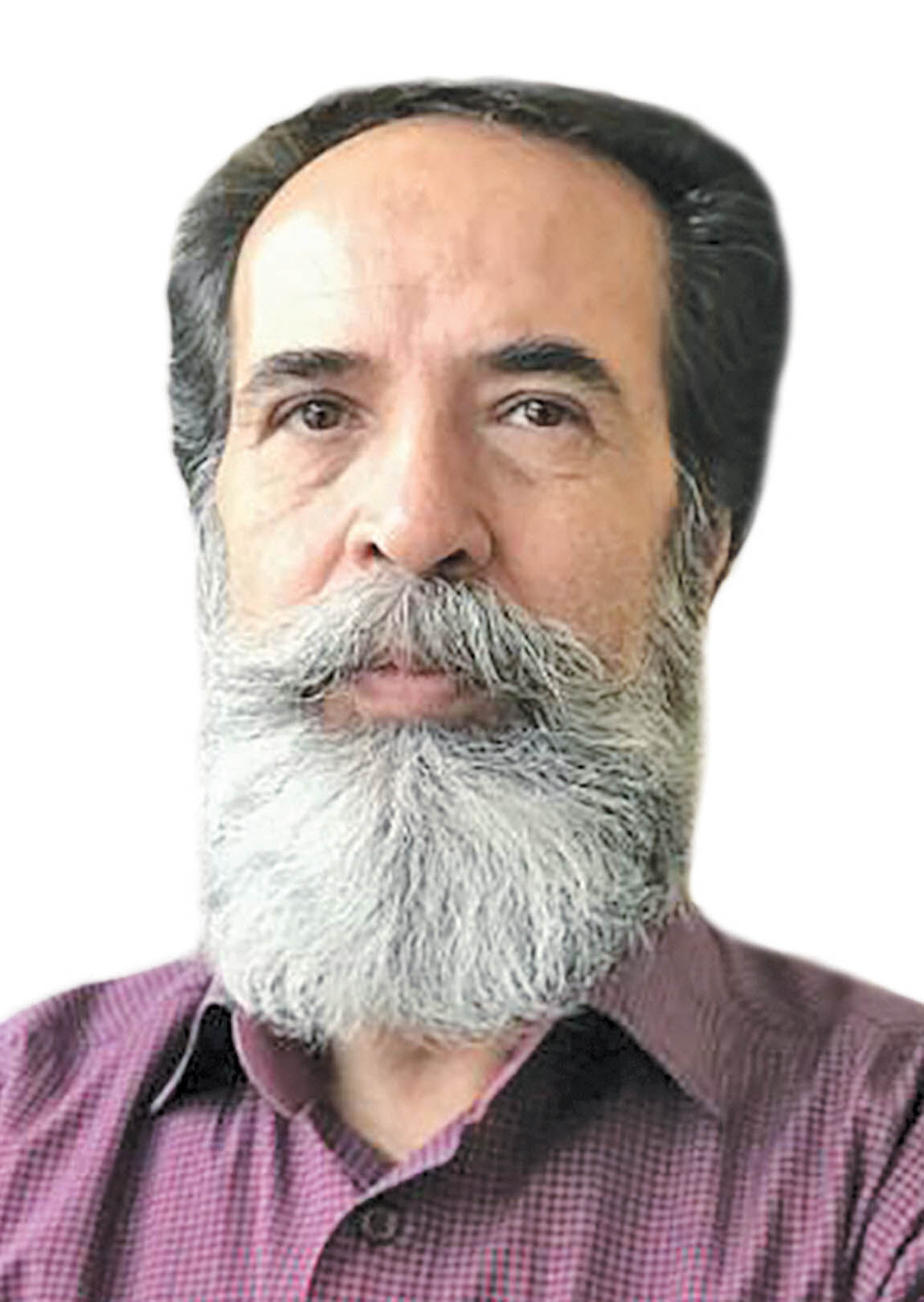 تجلی دوباره مشارکت جمعی