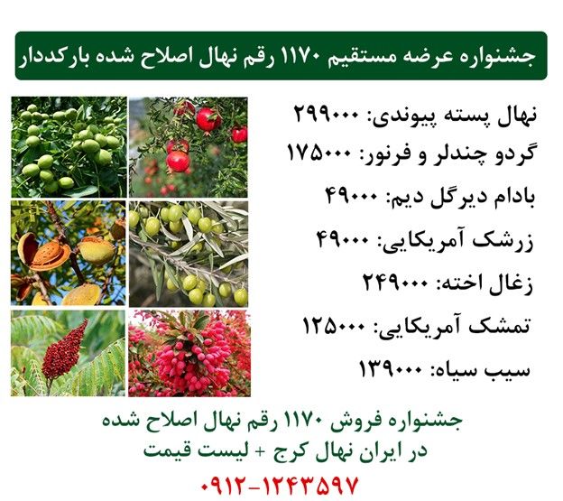 جشنواره فروش انواع نهال اصلاح شده بارکددار در ایران نهال کرج + ارسال یکروزه