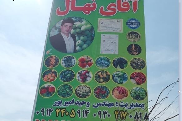 نهالستان آقای نهال به ازای خرید 10 اصله نهال 2 نهال با کود رایگان هدیه می دهد