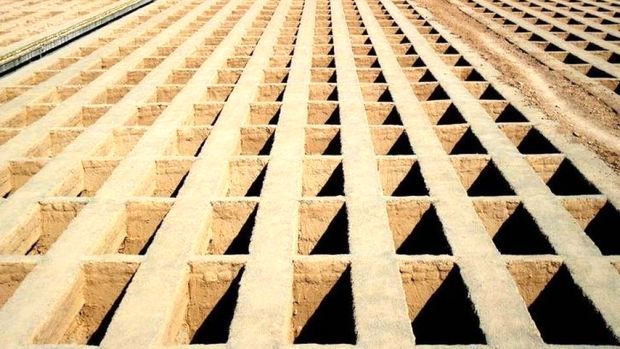 قبرهای یک میلیون تا 2 میلیارد تومانی در بوشهر!