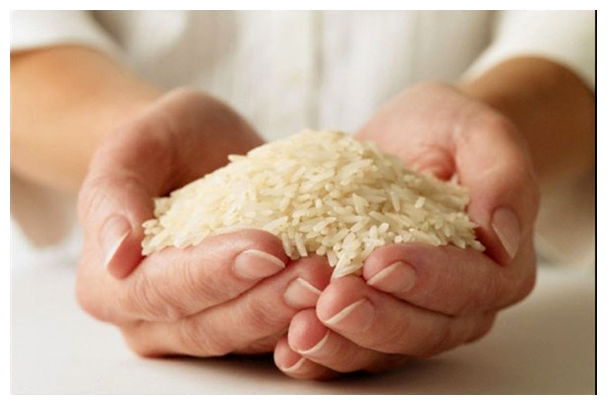 هند بزرگترین تولیدکننده برنج جهان شد