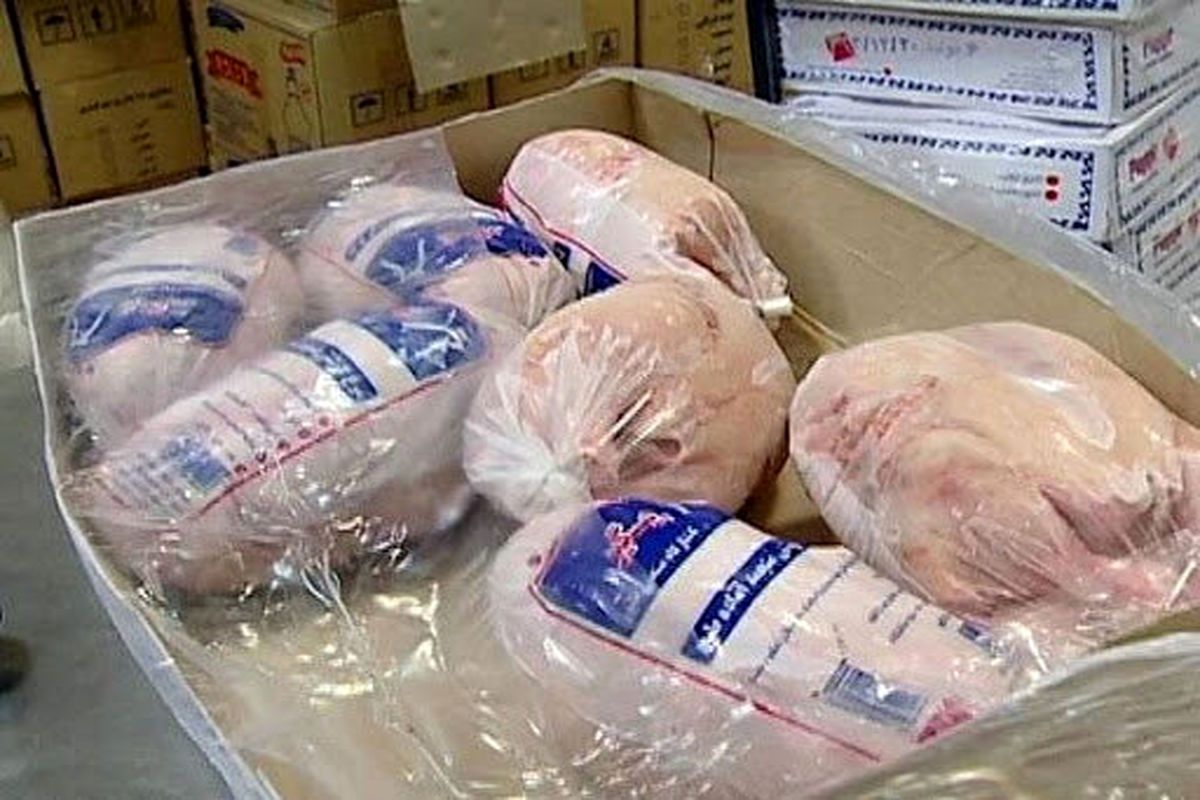  مرغ منجمد به کشور واردات می‌شود؟/تولید از تقاضا پیشی گرفت