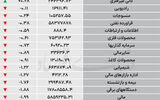نبض شاخص