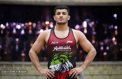 محمد ناقوسی صاحب مدال طلا شد