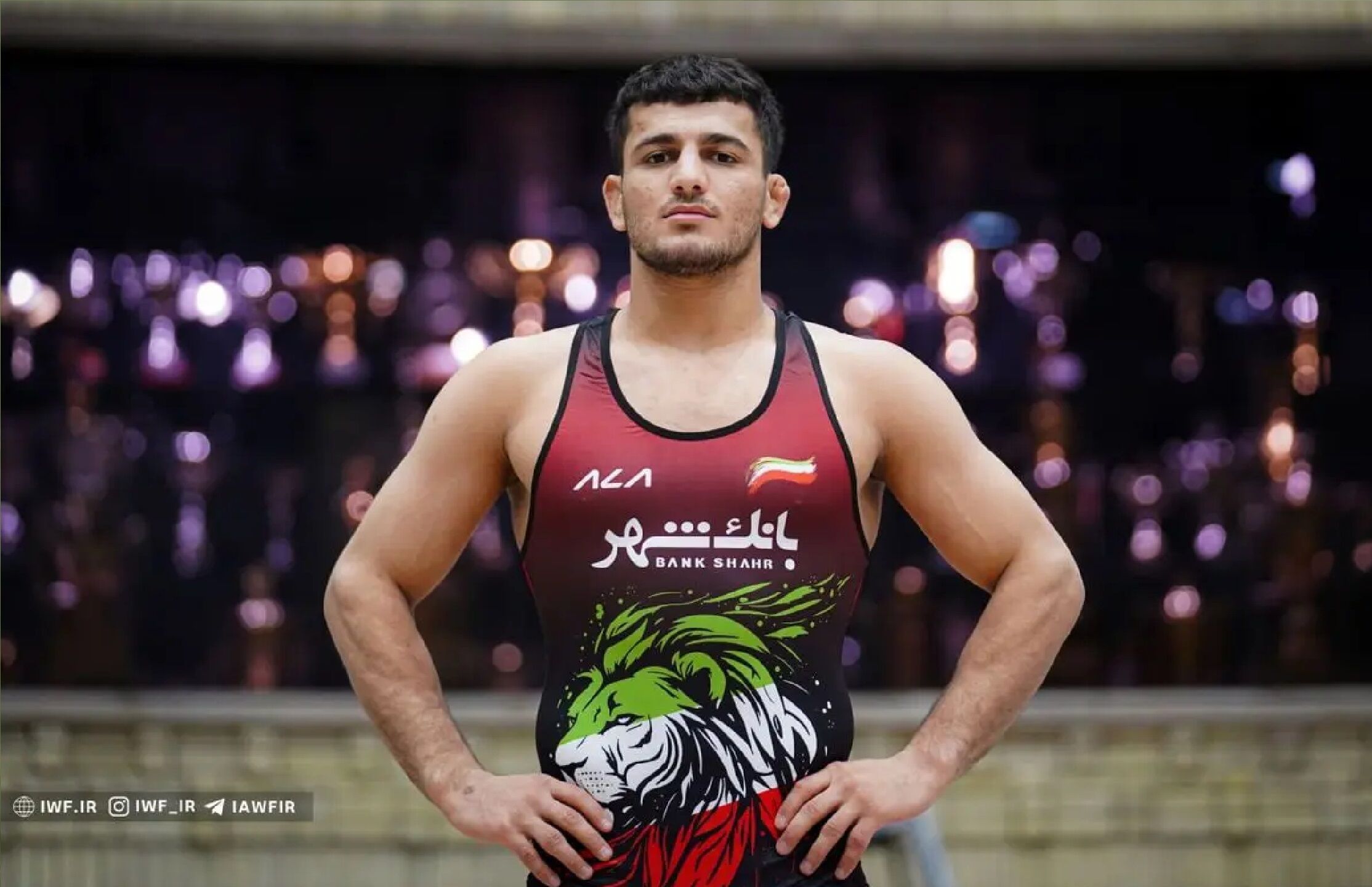 محمد ناقوسی صاحب مدال طلا شد