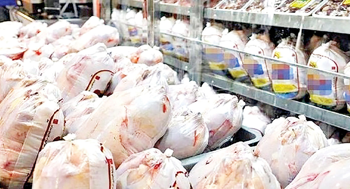   ۳ پیشنهاد برای تامین مالی تولیدکنندگان‌ مرغ