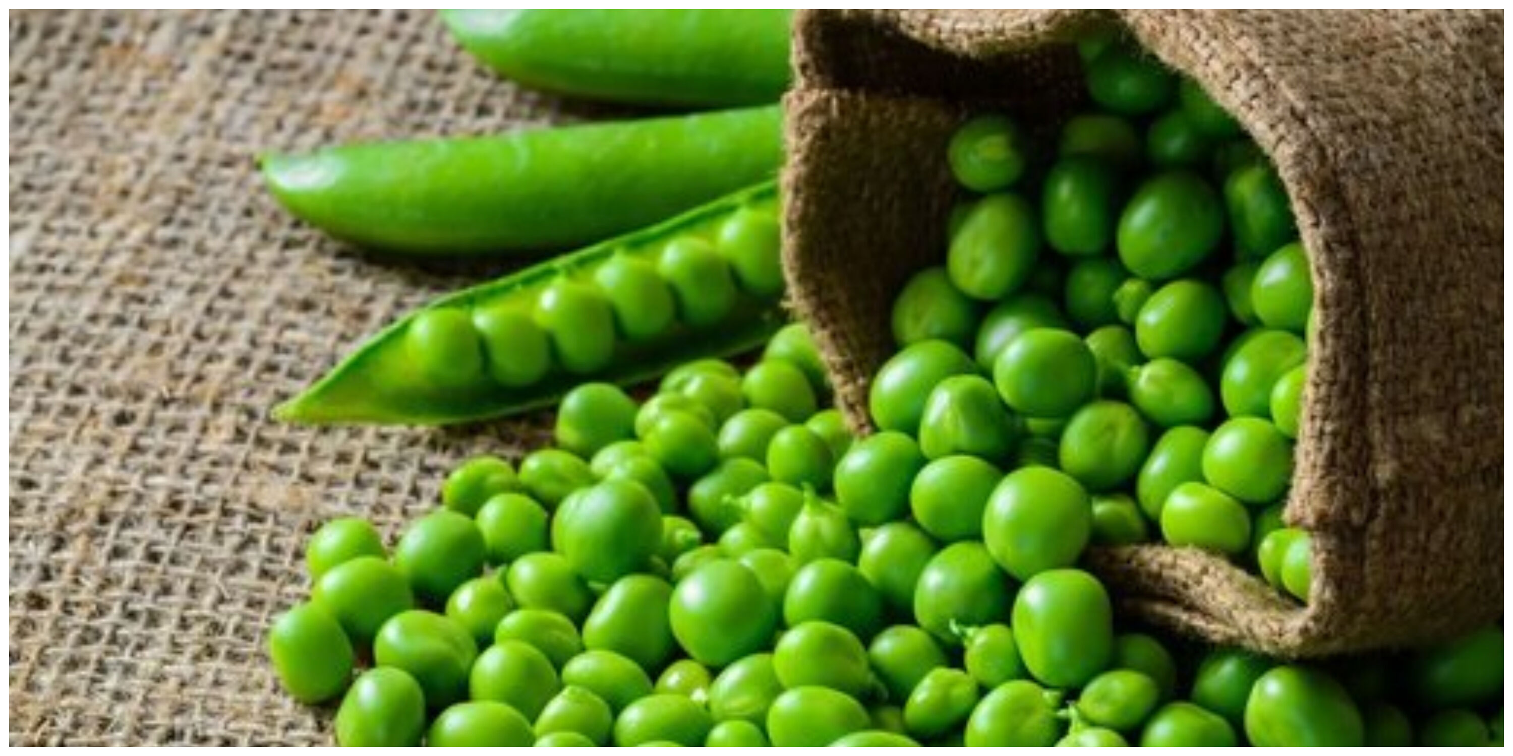 فواید شگفت انگیز نخودفرنگی برای سلامتی بدن