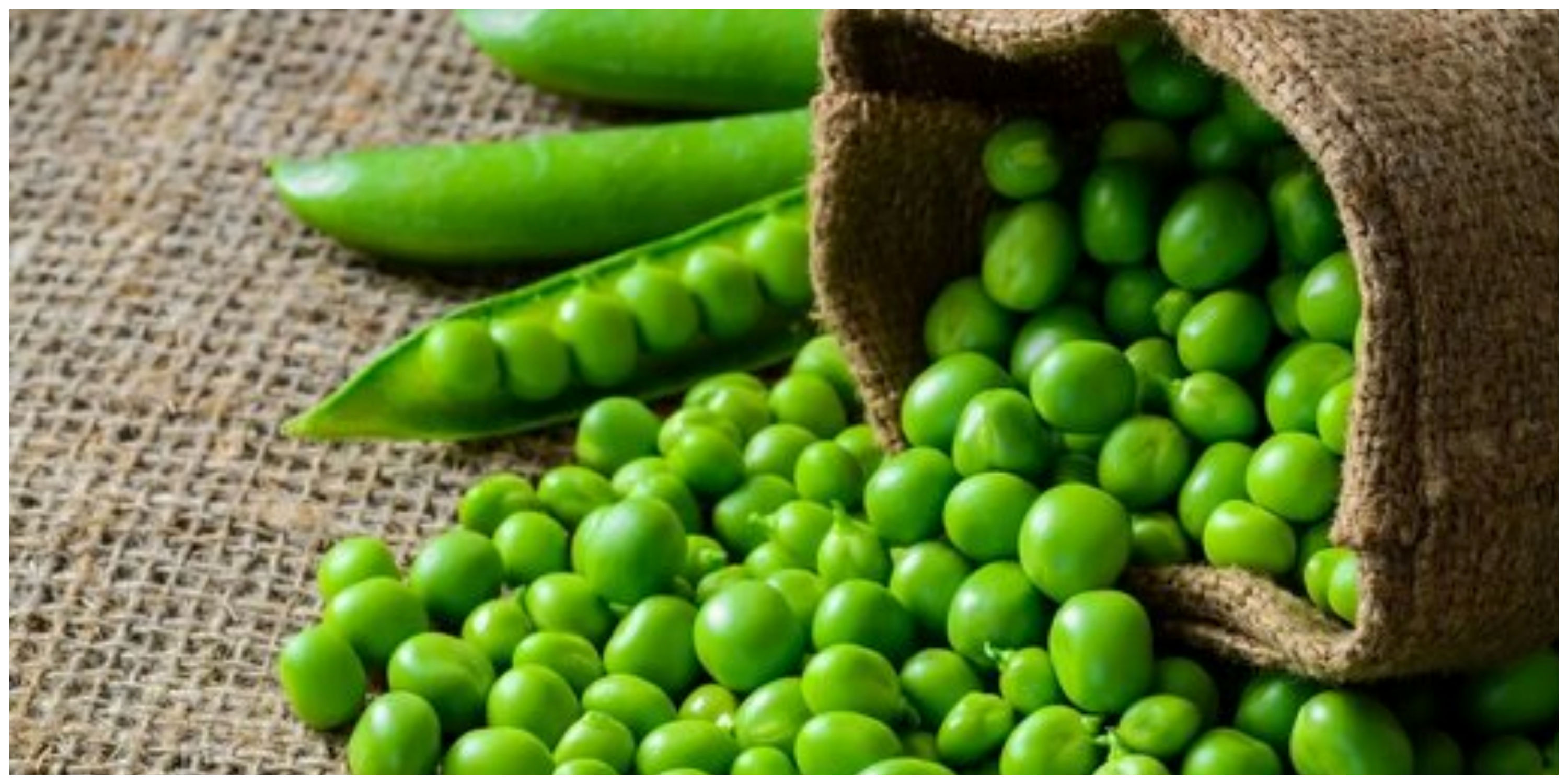 فواید شگفت انگیز نخودفرنگی برای سلامتی بدن