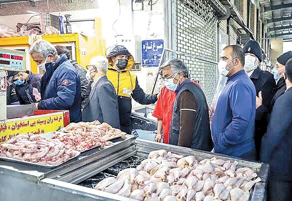 بازار مرغ در قفس کمبود و گرانی نهاده‌‌‌ها