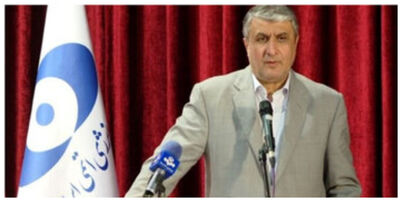 انتقاد تند اسلامی از آژانس انرژی اتمی/ نه ‌تنها همکاری نکردند بلکه مزاحمت هم ایجاد کردند