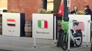 آیا این اشتباه، «سهوی» است؟