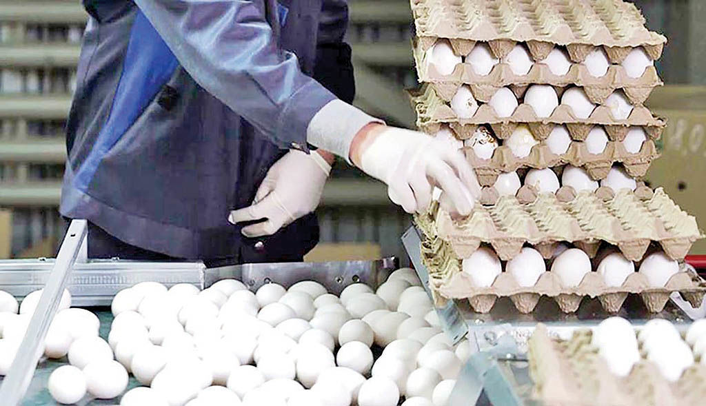 پخش تخم‌مرغ زیر قیمت مصوب