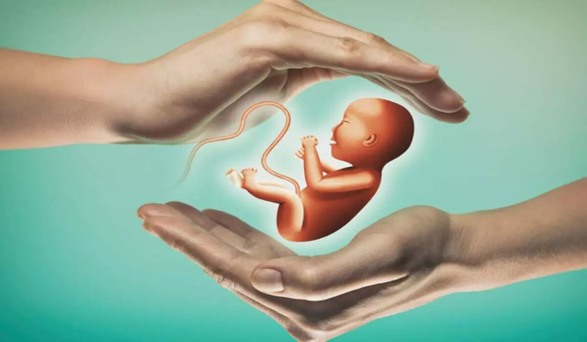یک ترکیب پروتئینی برای باروری مردان 