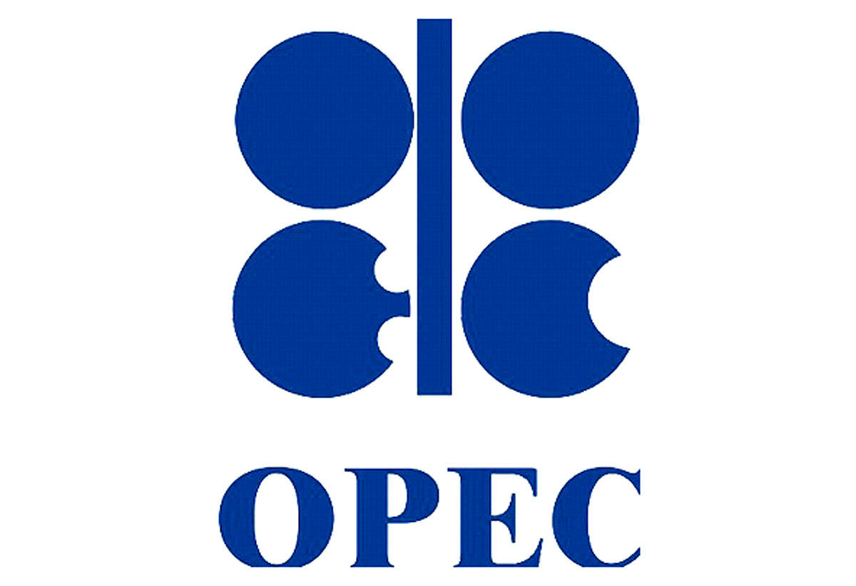 دبیرکلی ایران در اوپک محور گفت‌وگو با داکورو در تهران