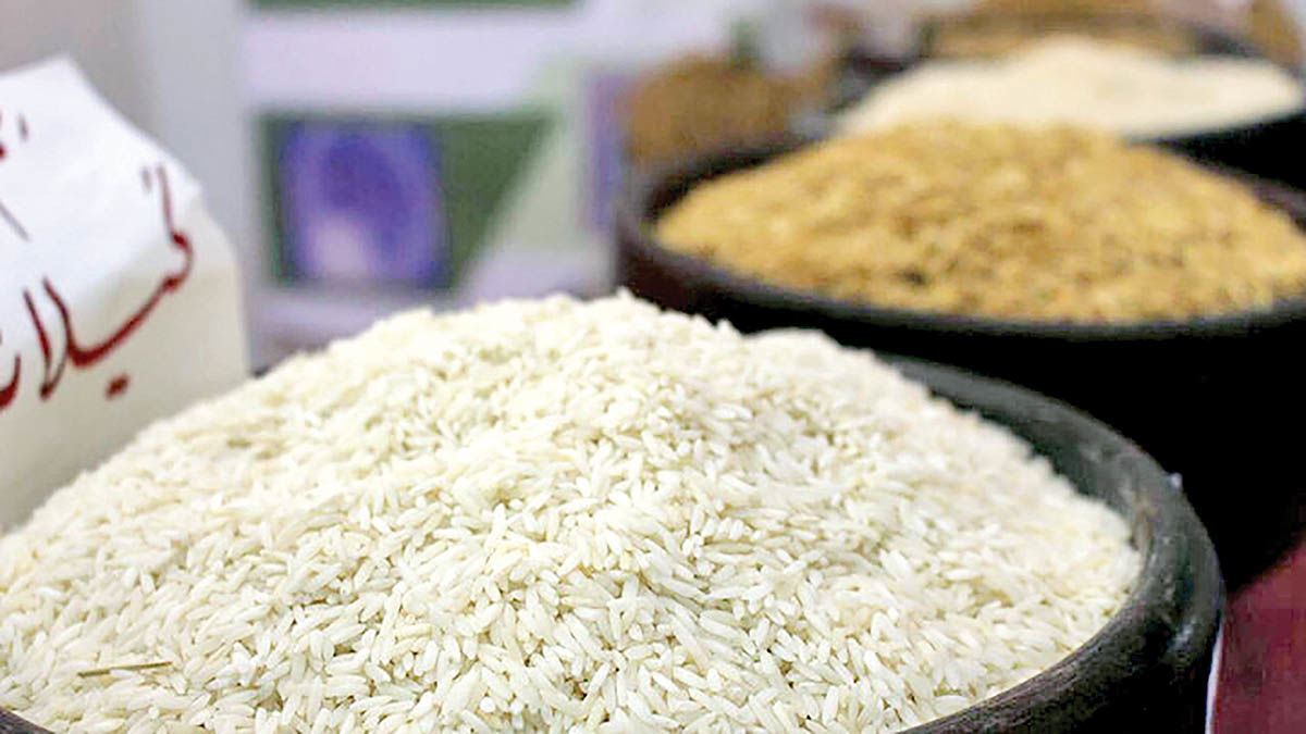 بازار سردرگم برنج 