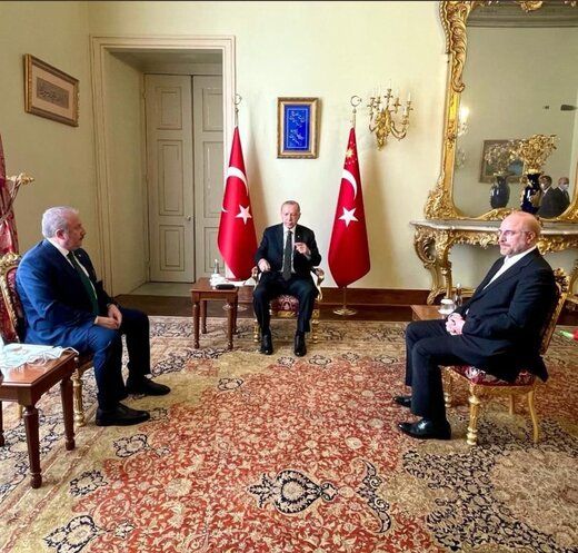 دیدار پرحاشیه قالیباف با اردوغان/ اخم رئیس مجلس جنجالی شد!