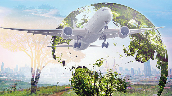  پرواز سبز با خاکستر آمازون