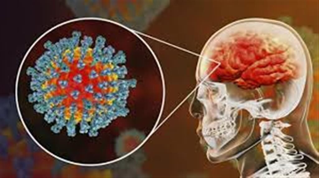 عوارض خطرناک قلبی و عروقی ویروس کرونا 