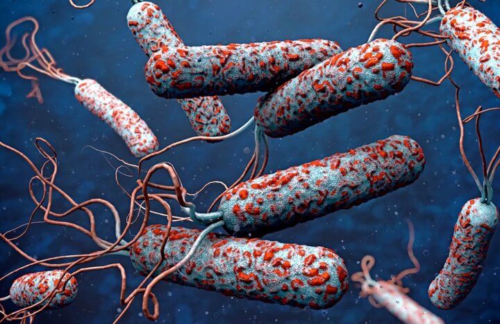  ۲ مورد ابتلا به وبا در مرز مهران شناسایی شد
