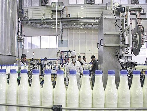 آسیب‌شناسی قیمت‌گذاری دستوری در صنعت لبنیات