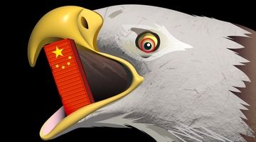 مدل حمایتی پکن چه تفاوتی با رقبا دارد؟