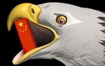 مدل حمایتی پکن چه تفاوتی با رقبا دارد؟