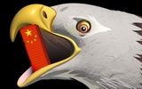 مدل حمایتی پکن چه تفاوتی با رقبا دارد؟