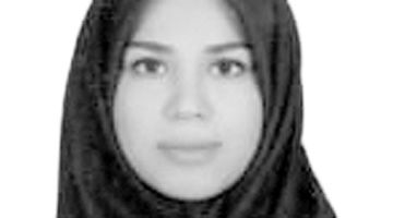 کشتیرانی در تقابل با ریسک و بازده