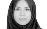 کشتیرانی در تقابل با ریسک و بازده