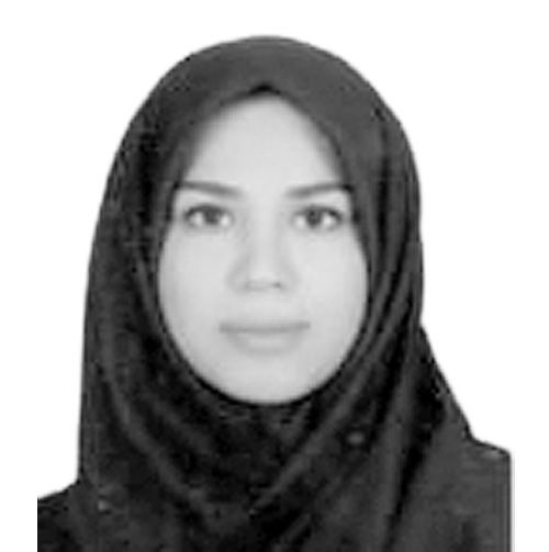 کشتیرانی در تقابل با ریسک و بازده