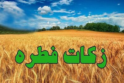 فوری/ مبلغ فطریه 1403 توسط آیت‌الله مکارم شیرازی اعلام شد+ جزئیات	