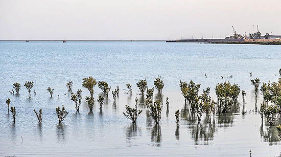 یکپارچه‌سازی سواحل خوزستان 