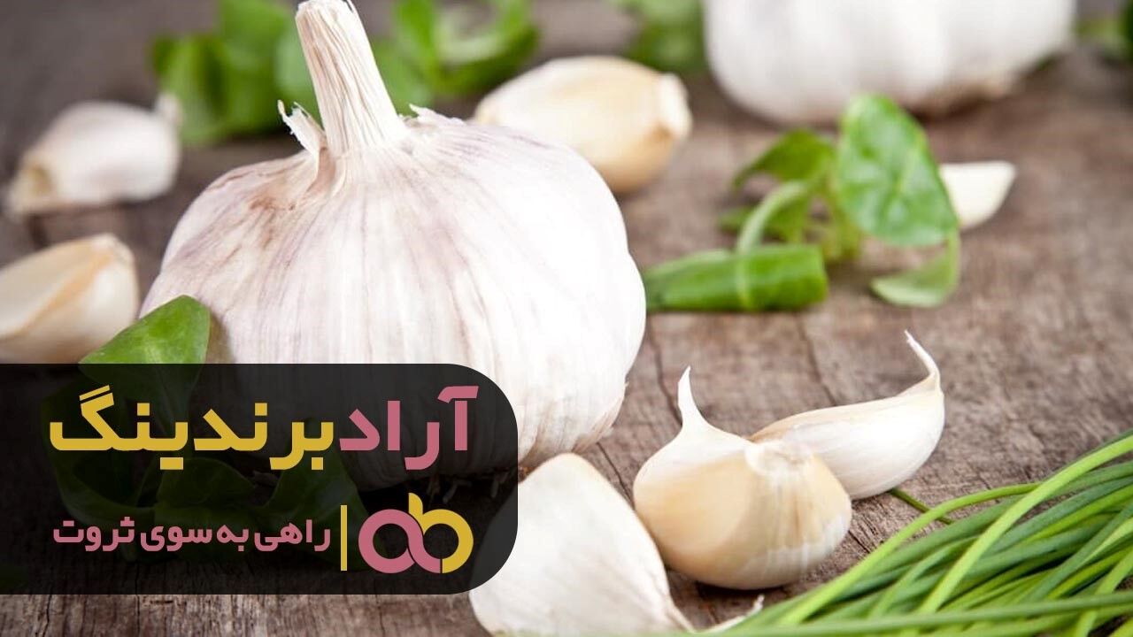 مقایسه قیمت سیر همدان با طارم