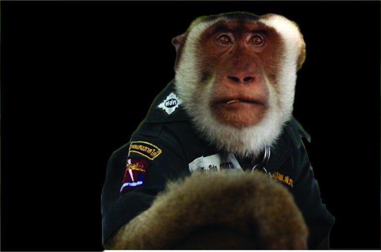 میمون 5ساله‌ای که پلیس شد + عکس