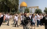 چرا جوانها و نوجوانها به مسجد تمایل ندارند؟/ متولیان مسجد باید بفهمند جوان امروز چه دغدغه‌ای دارد